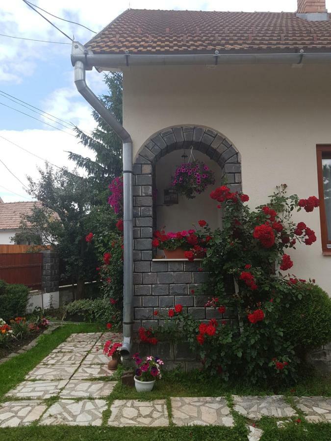 Rita Vendeghaz Apartment Ciumani ภายนอก รูปภาพ